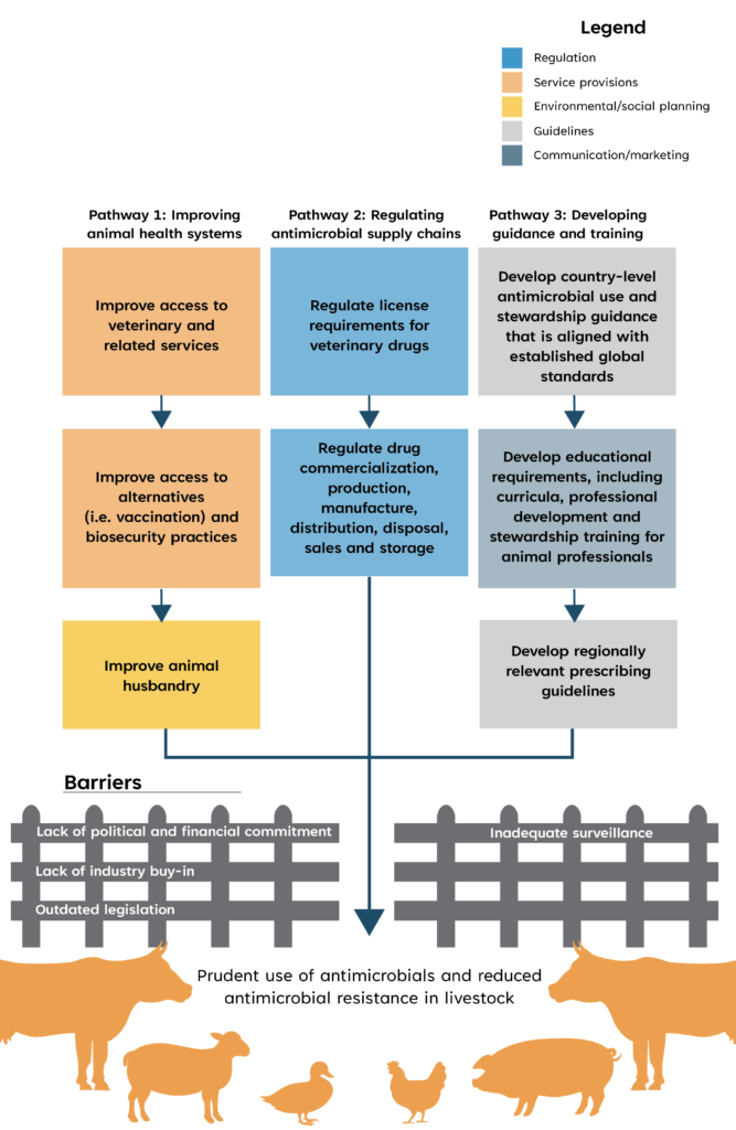 Conceptual framework diagram showing three parallel pathways to achieve prudent antimicrobial use and reduced antimicrobial resistance in livestock. Pathway 1 (Improving animal health systems) includes three orange and yellow boxes connected by arrows: improve access to veterinary and related services, improve access to alternatives like vaccination and biosecurity practices, and improve animal husbandry. Pathway 2 (Regulating antimicrobial supply chains) includes two blue boxes: regulate license requirements for veterinary drugs, and regulate drug commercialization, production, manufacture, distribution, disposal, sales and storage. Pathway 3 (Developing guidance and training) includes three gray boxes: develop country-level antimicrobial use and stewardship guidance aligned with global standards, develop educational requirements including curricula and professional development for animal professionals, and develop regionally relevant prescribing guidelines. All three pathways converge through barriers represented as fence graphics listing lack of political and financial commitment, lack of industry buy-in, outdated legislation, and inadequate surveillance. Below the barriers are silhouettes of livestock animals (cows, sheep, ducks, chickens, and pigs) with text stating the ultimate goal: prudent use of antimicrobials and reduced antimicrobial resistance in livestock. A legend indicates color coding: blue for regulation, orange for service provisions, yellow for environmental/social planning, light gray for guidelines, and dark gray for communication/marketing.